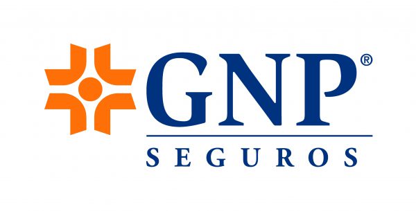 logo GNP-odl2vgg0pkdsr7rnyteyx40d3lir6zh0rndxr6i67e.jpeg